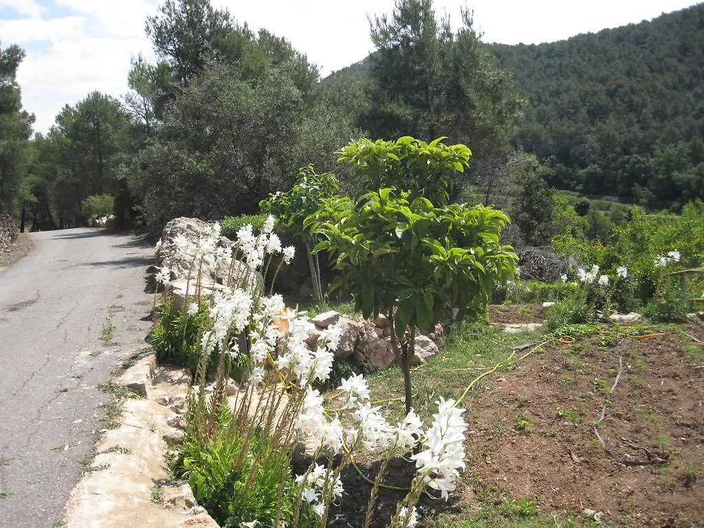 Masia Puigadoll Rodoñá